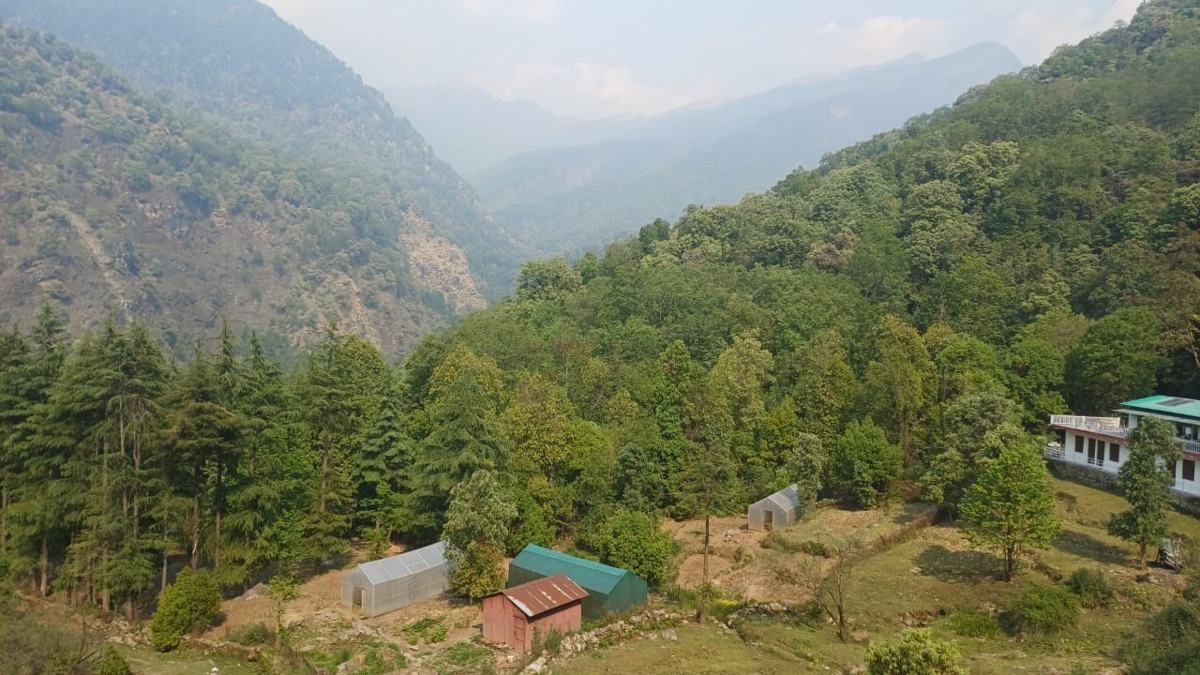 Valley and forest view